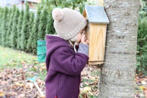 Herbst erleben mit Kindern Insektenhaus ansehen