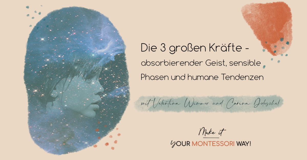 Die drei großen Kräfte der Montessori Pädagogik